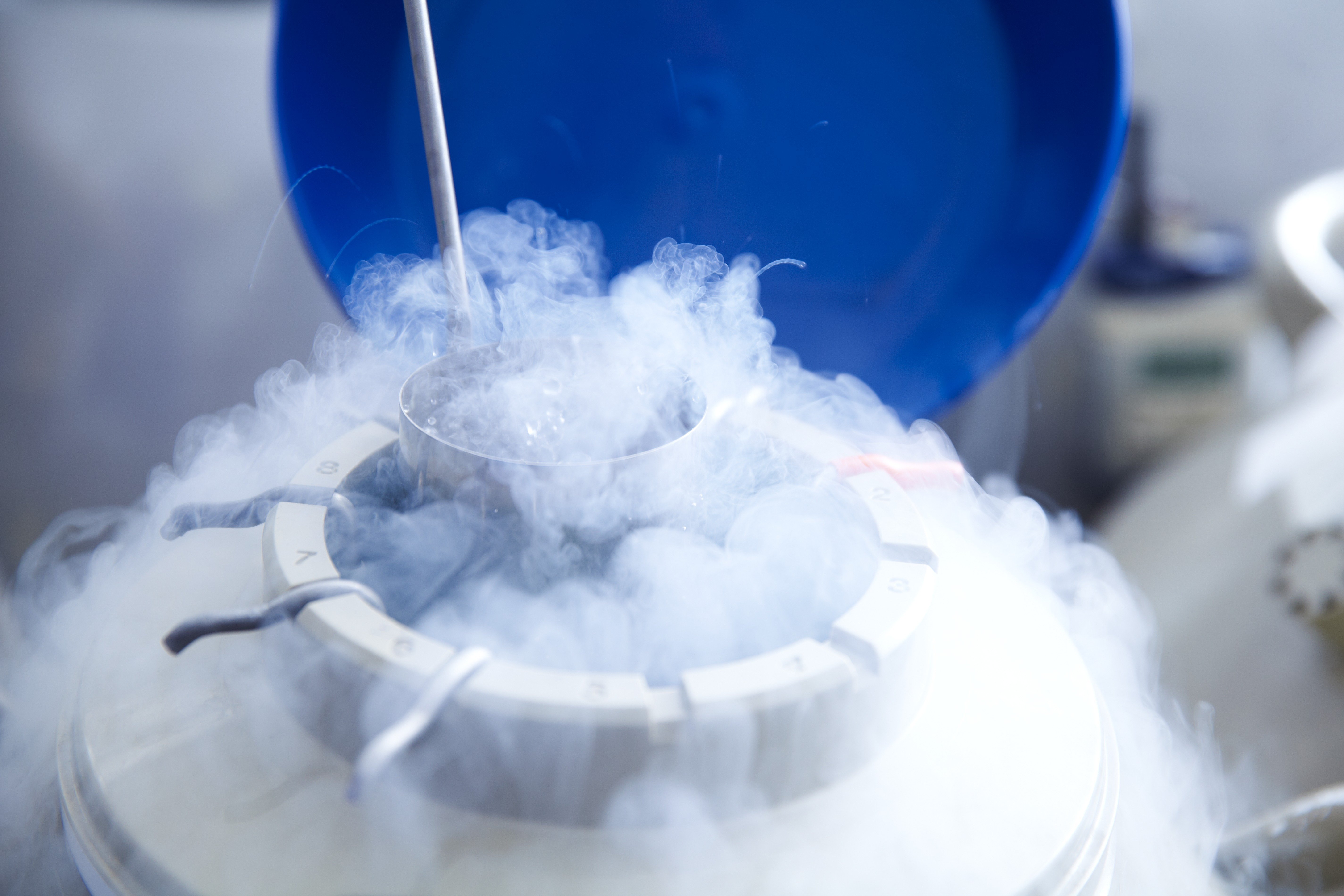 Maintenance and use of liquid nitrogen tanks and frozen semen