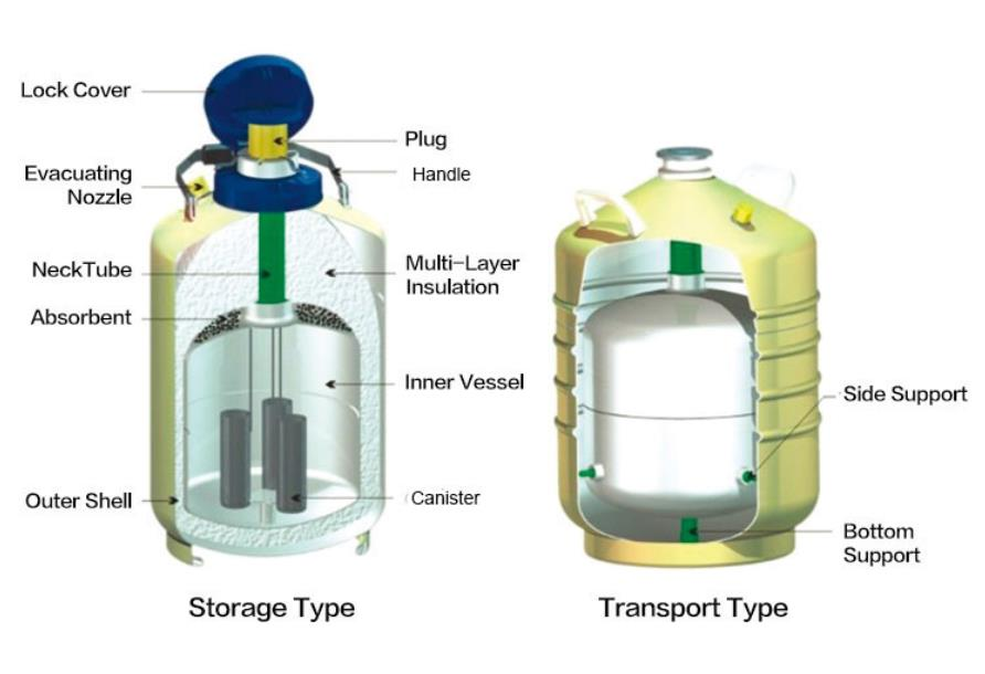 The Inner structure of liquid nitrogen dewar storage tank 