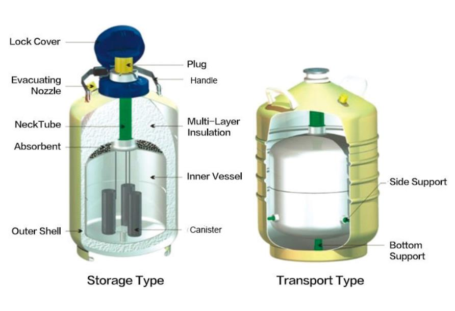 the-inner-structure-of-liquid-nitrogen-dewar-storage-tank-xinxiang-pan