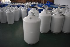 YDS-10 liquid nitrogen cryogenic semen tan