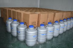 YDS-20 liquid nitrogen tank with canisters for