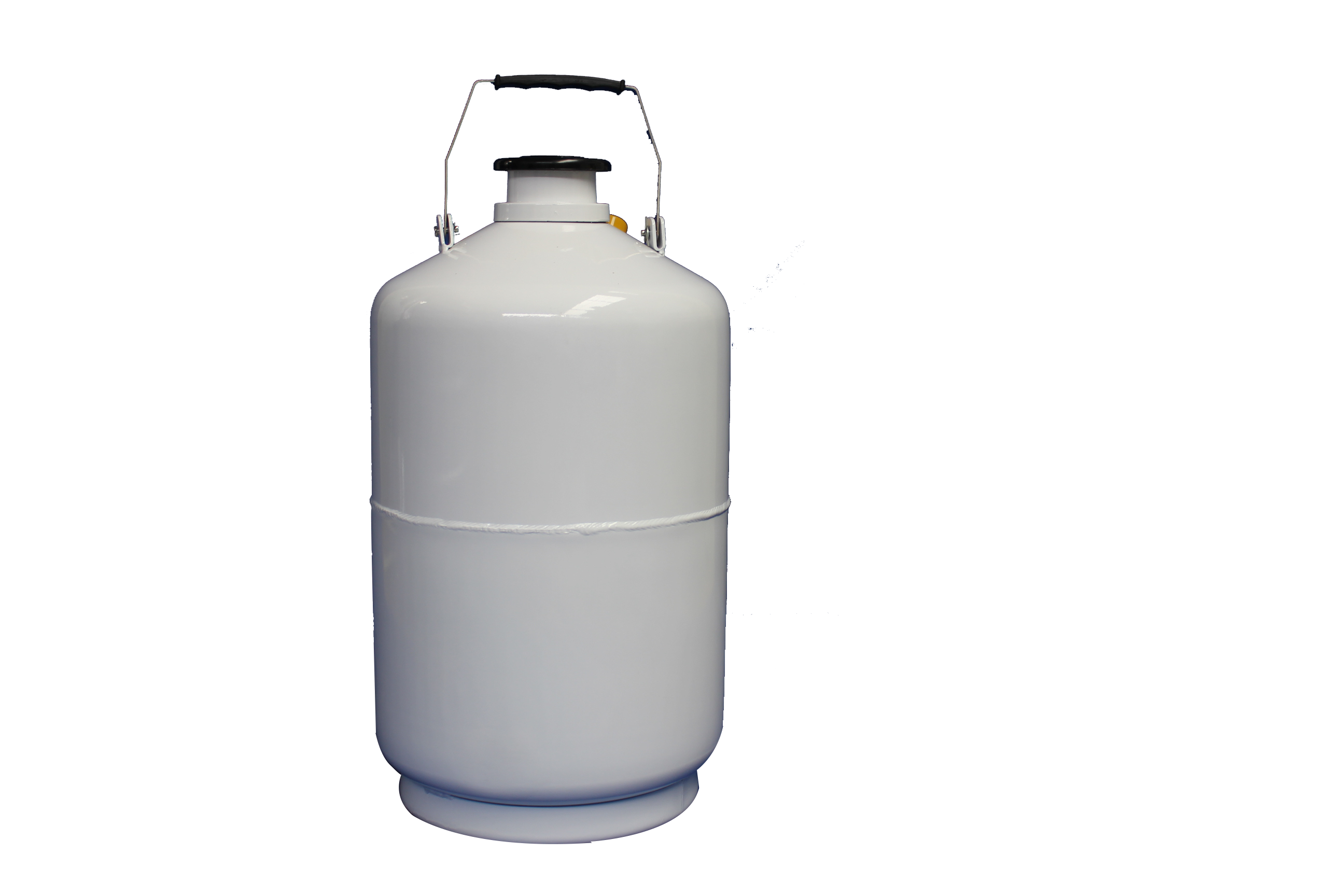 Liquid nitrogen beauty tank,liquid nitrogen tank