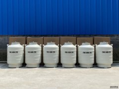 YDS-50-210 large caliber liquid nitrogen tank