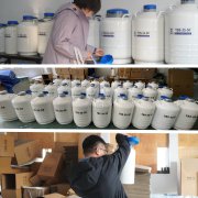 Hot selling PCZPX liquid nitrogen tank