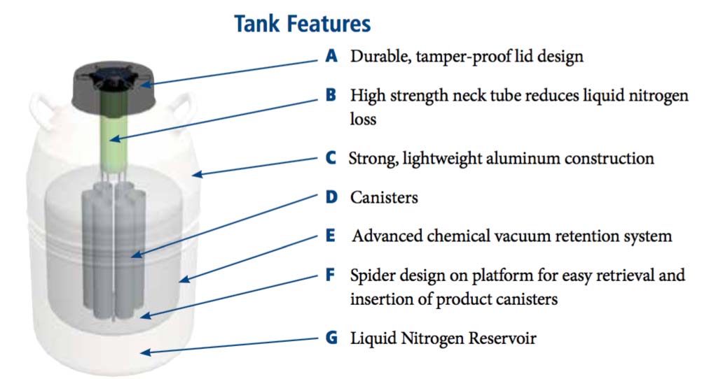 Product structure of liquid nitrogen biological container