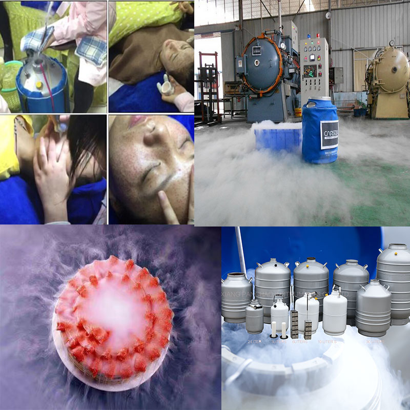 Product structure of liquid nitrogen biological container