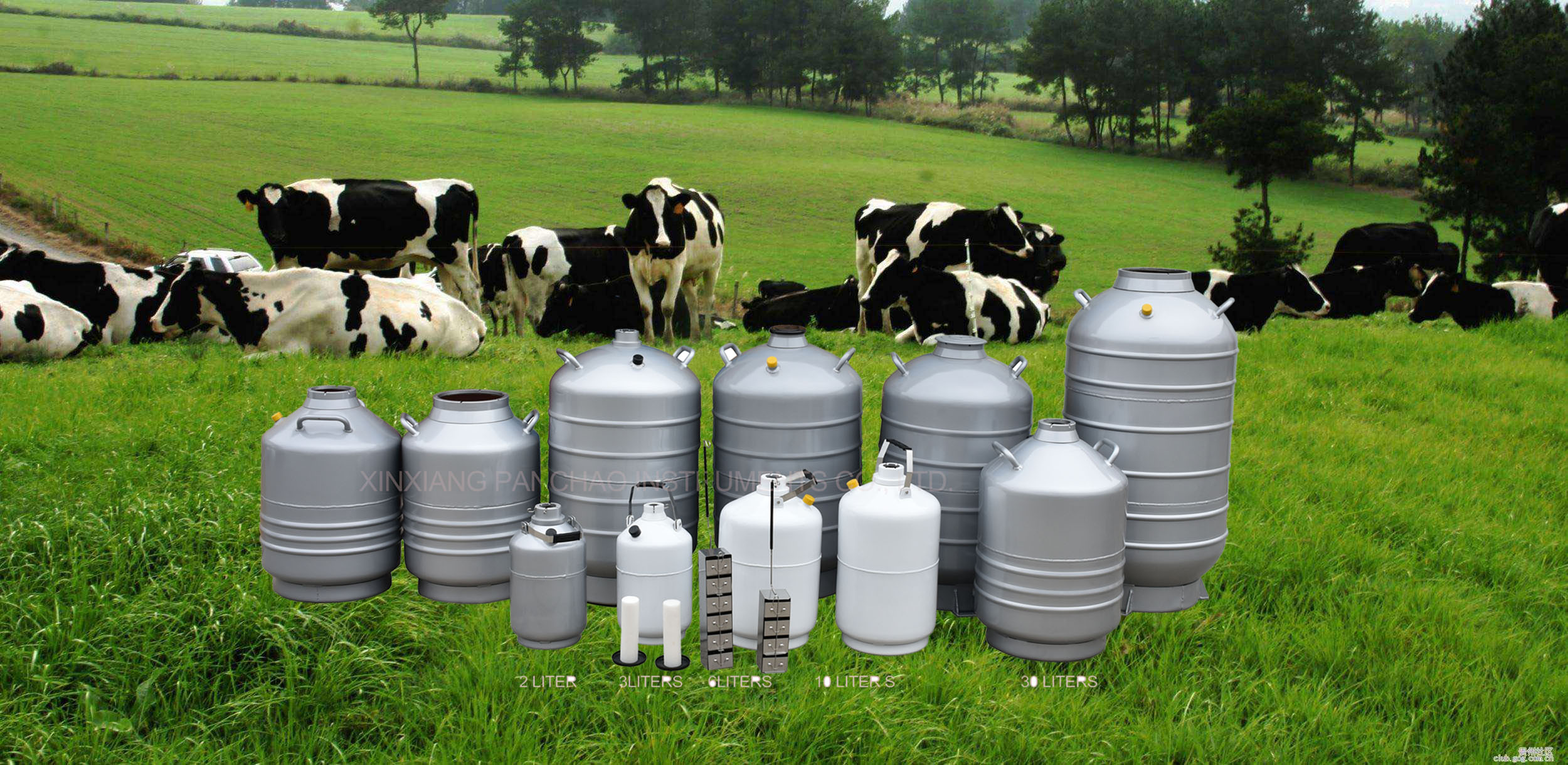 How to accurately equip cows in time to improve the cow's conception rate!