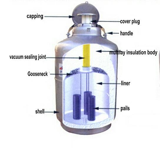 10L Liquid Nitrogen Dewar - Liquid Nitrogen Tank Container LN2 Dewar with  Straps